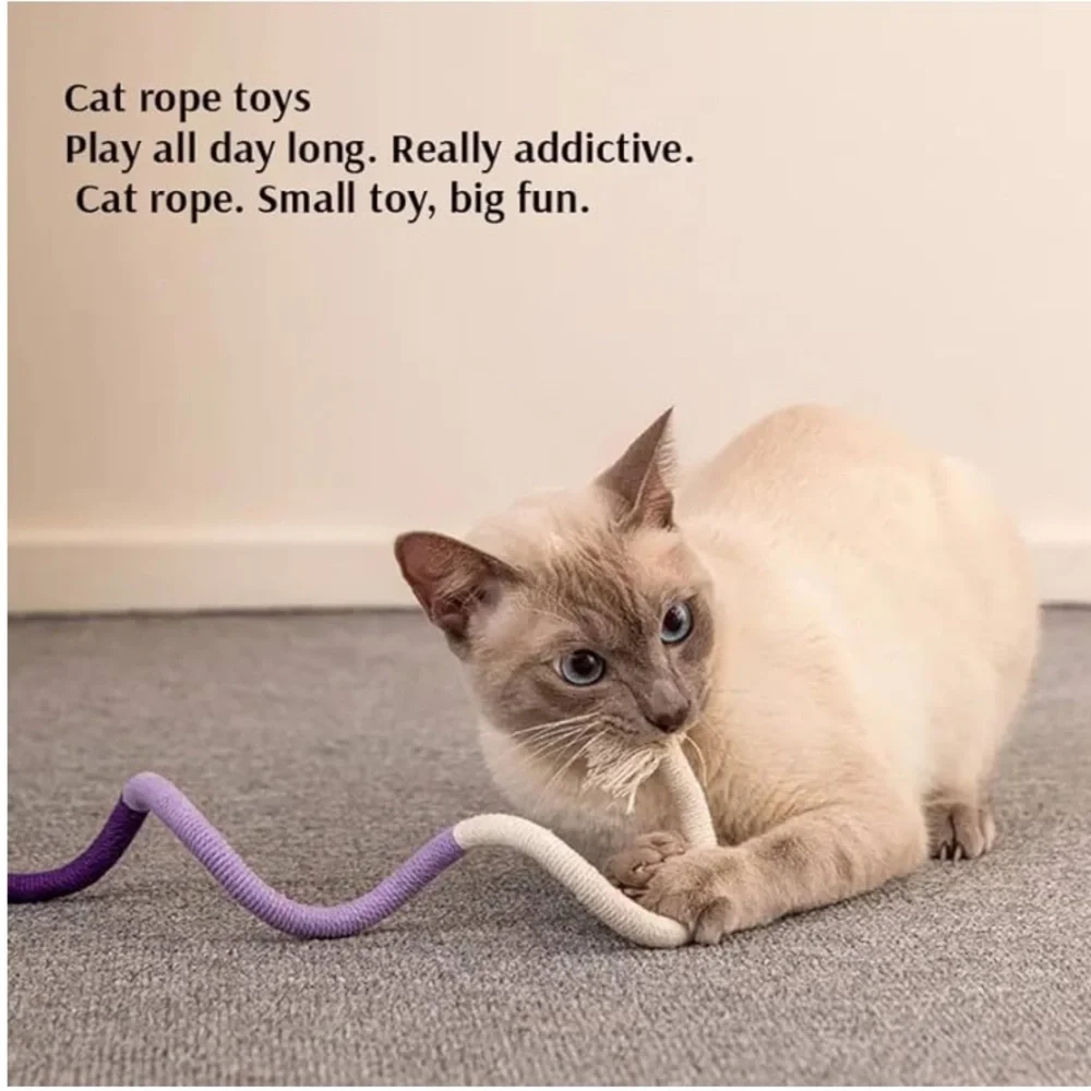 Colorful Cat Play Toys